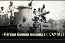 Warspot «Лёгкая боевая команда» — САУ М37